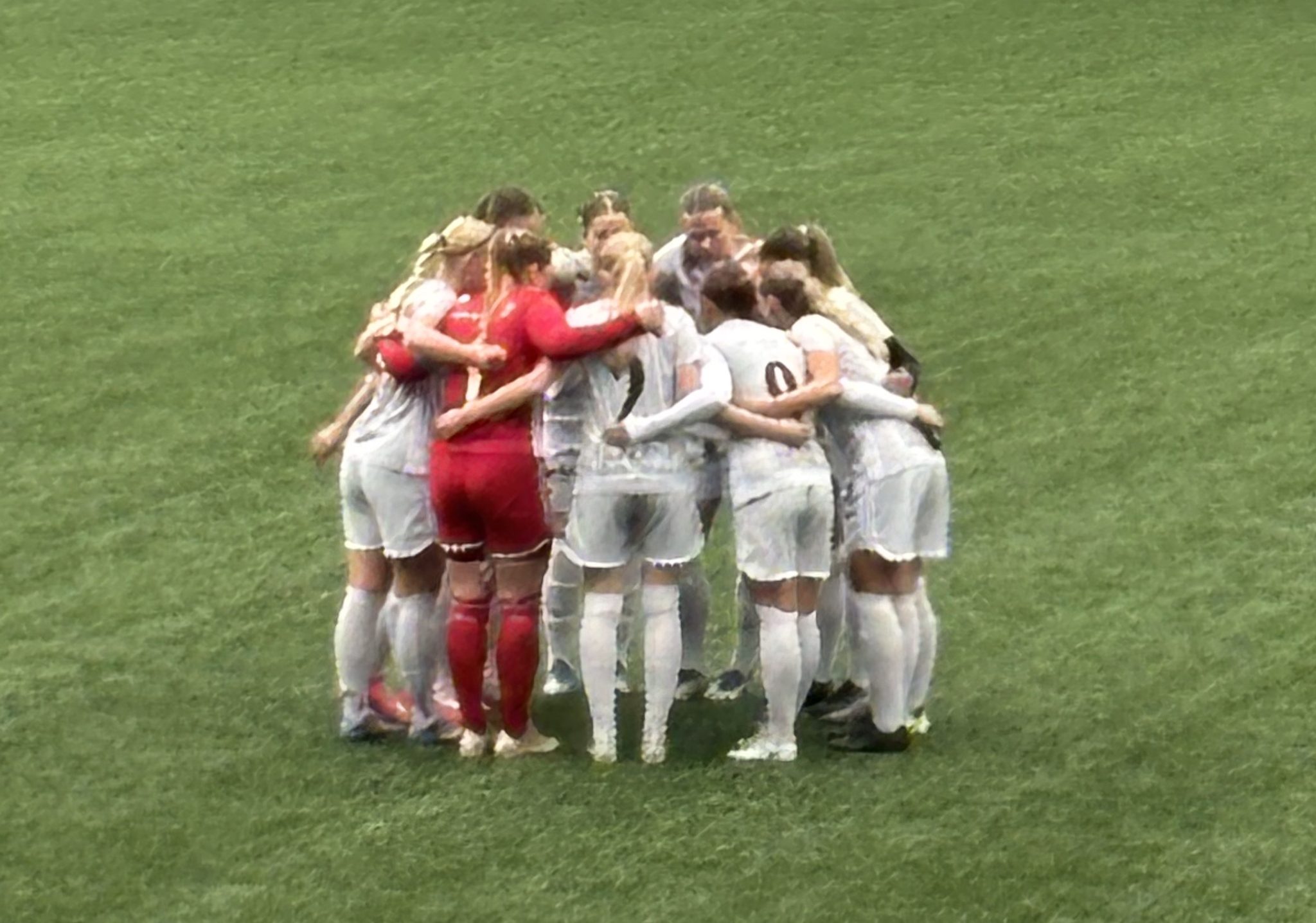 ÖIF söker fler damspelare!