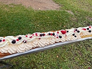 Myggan firade – med 30 meter tårta!