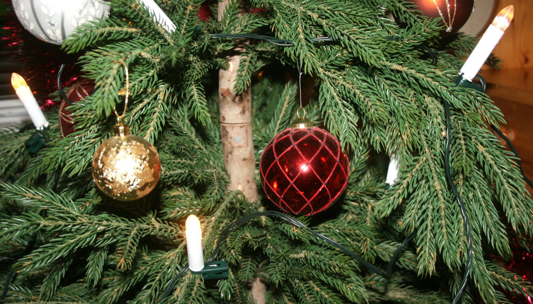 Fri julgran även i år!