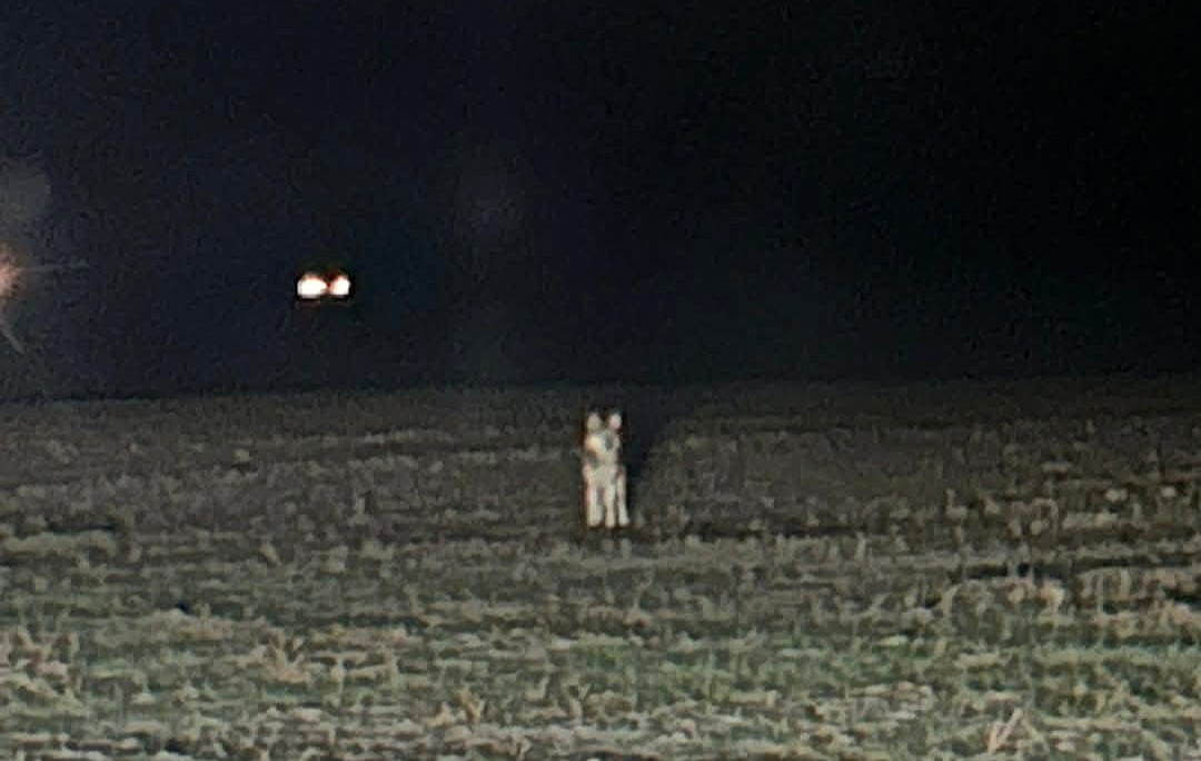 Cazpian filmade vargen!