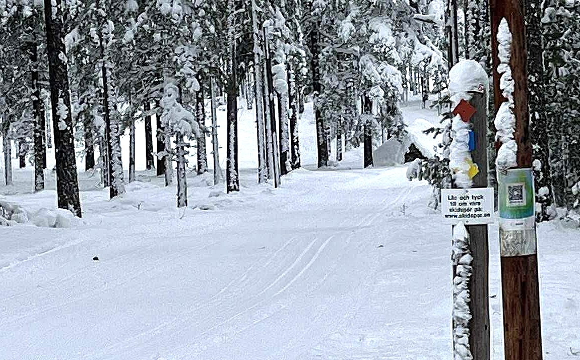 Fina skidspår!