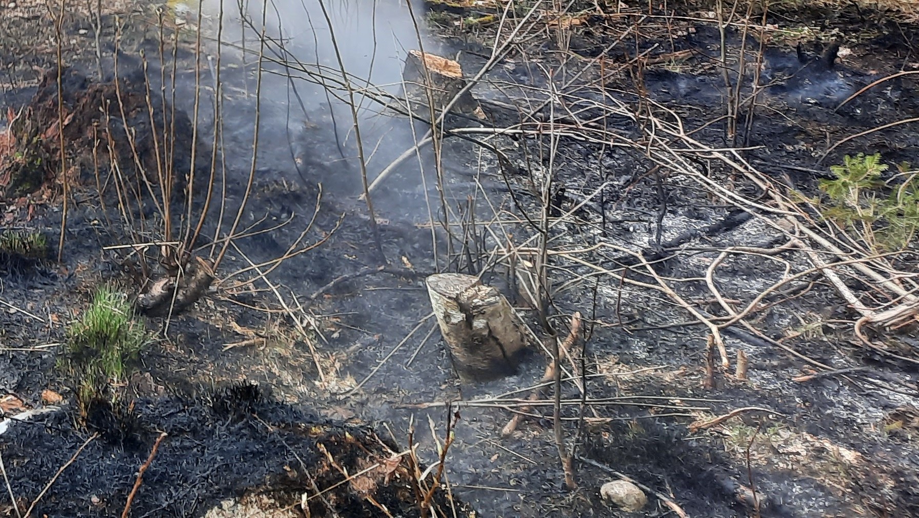Extrem brandrisk på vissa håll!