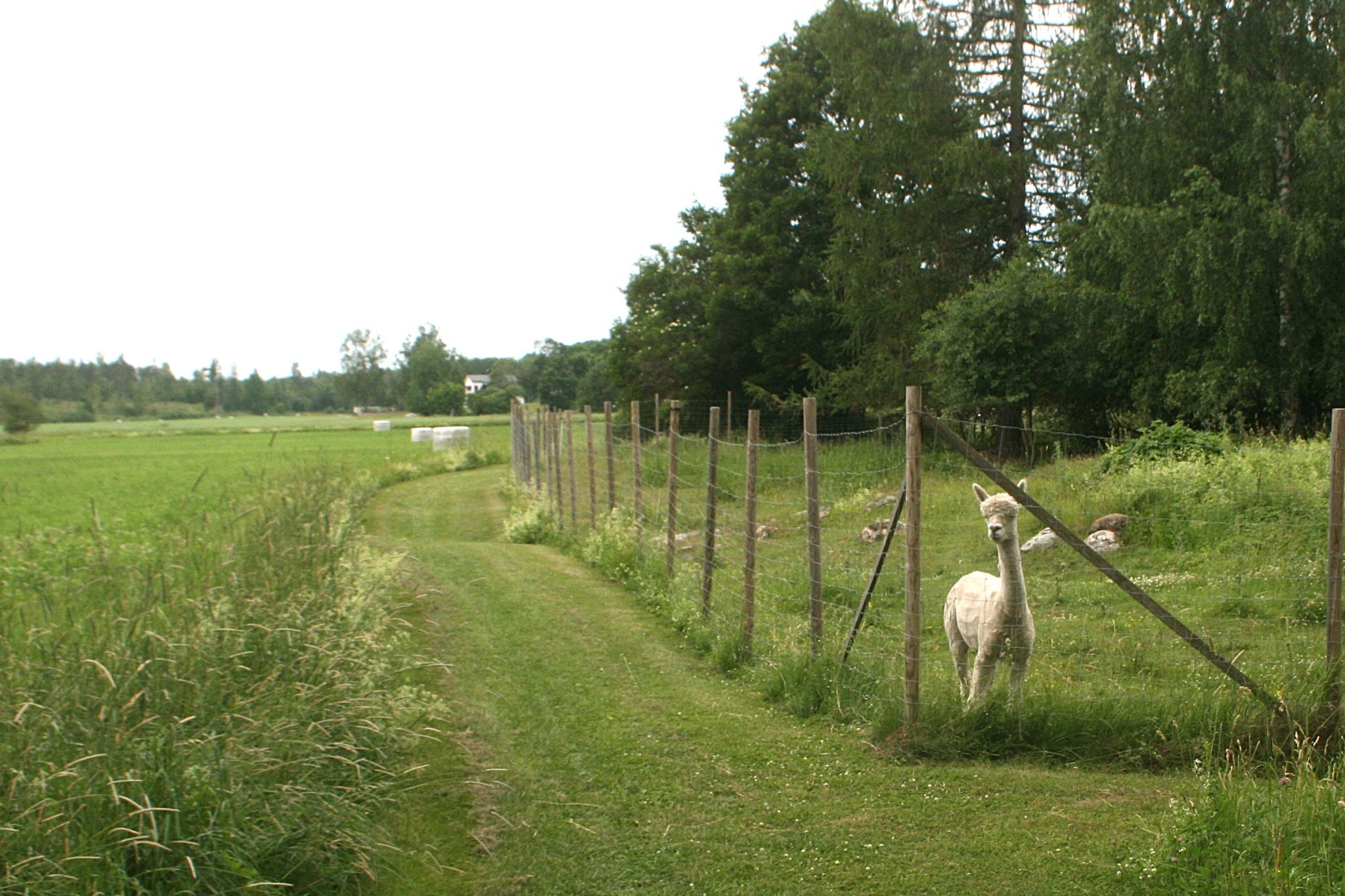 Ta en tur längs ”Ernstes väg”!