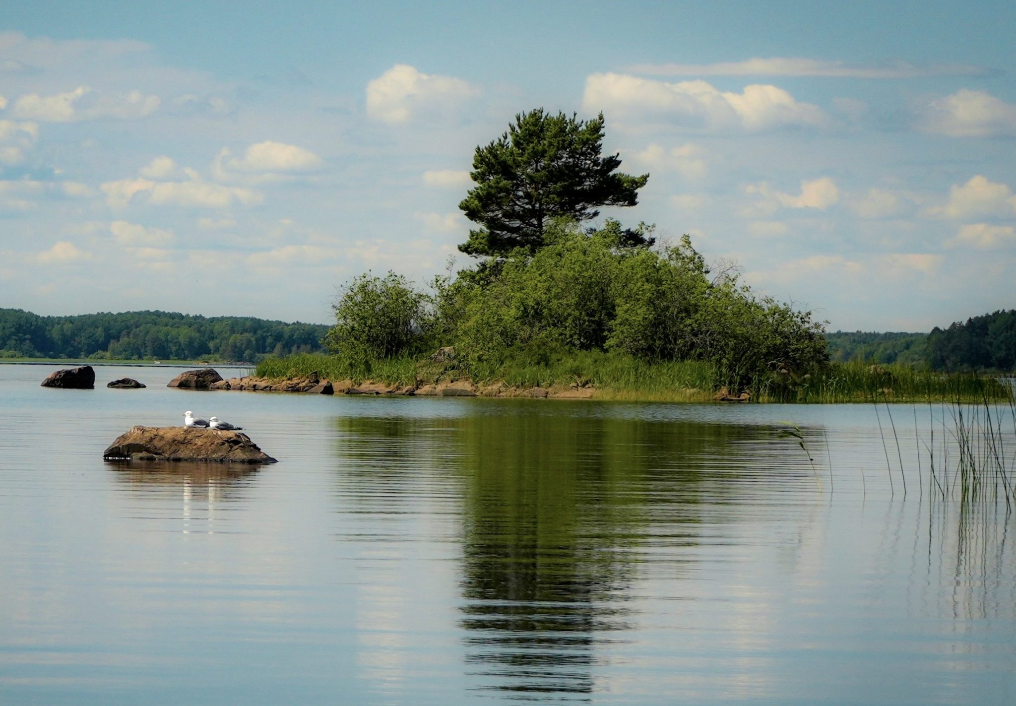 Följ med på båttur på Dalälven!
