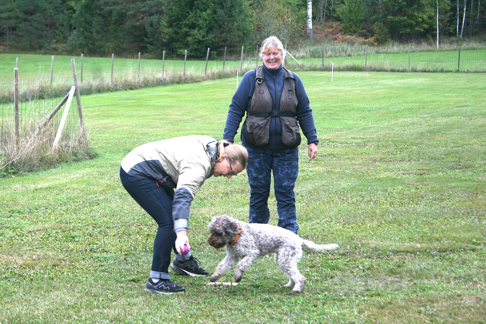 Hunden i fokus i Nyåker!